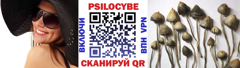 Купить закладки Корсаков Галлюциногенные грибы мухоморы